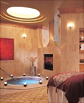 Segerberg Spa Consulting case study - Spa Tocarre